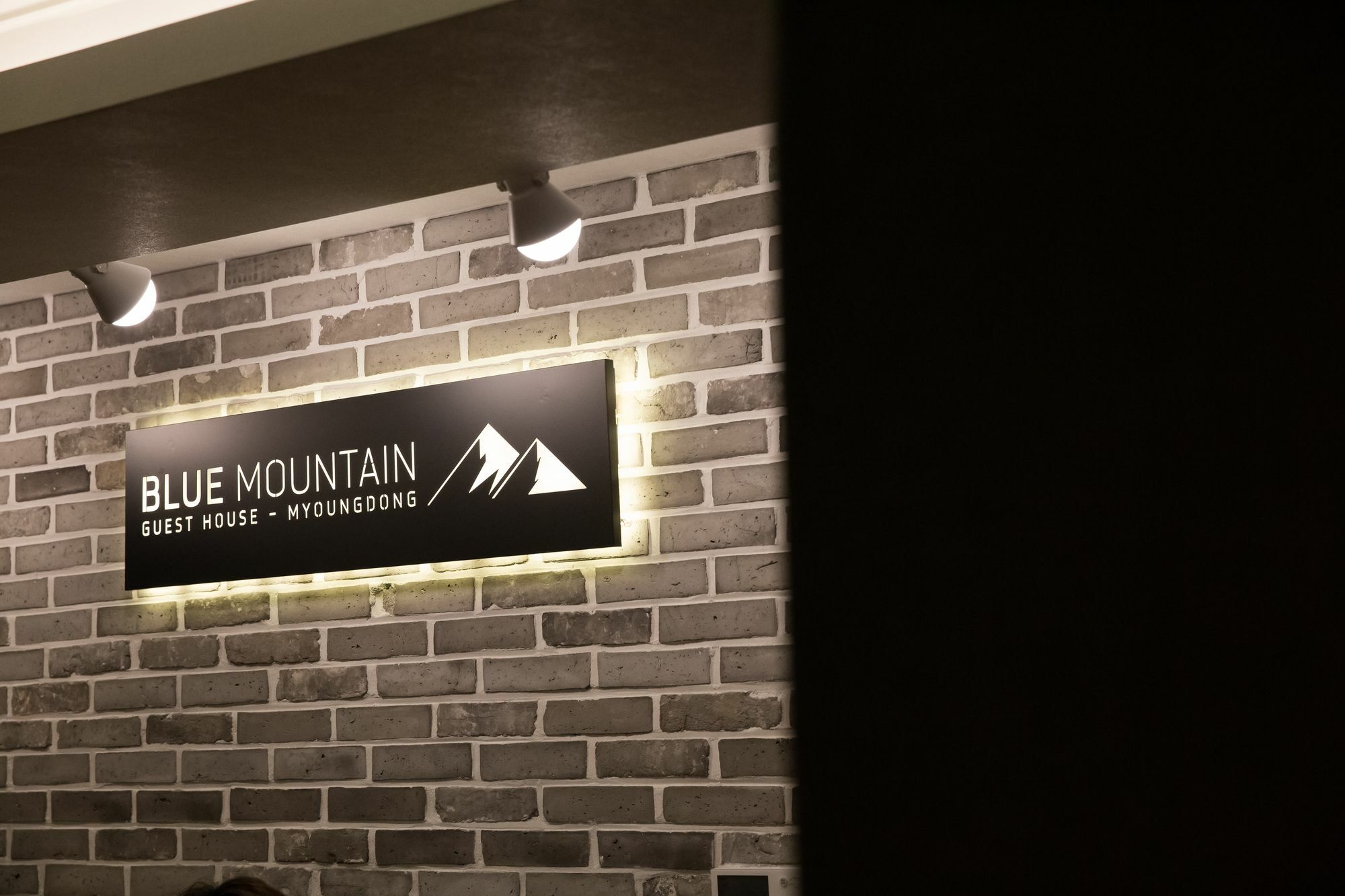 Blue Mountain Myeong-Dong Hotell Seoul Eksteriør bilde